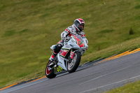 PJ-Motorsport-2019;anglesey-no-limits-trackday;anglesey-photographs;anglesey-trackday-photographs;enduro-digital-images;event-digital-images;eventdigitalimages;no-limits-trackdays;peter-wileman-photography;racing-digital-images;trac-mon;trackday-digital-images;trackday-photos;ty-croes
